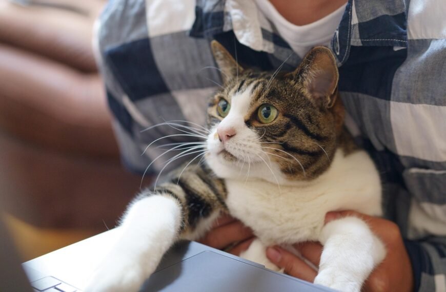 Gdzie zgłosić problemy w pracy