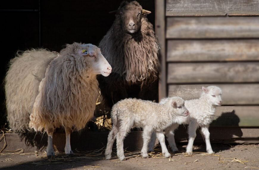 Gdzie zgłosić wypadek w drodze do pracy