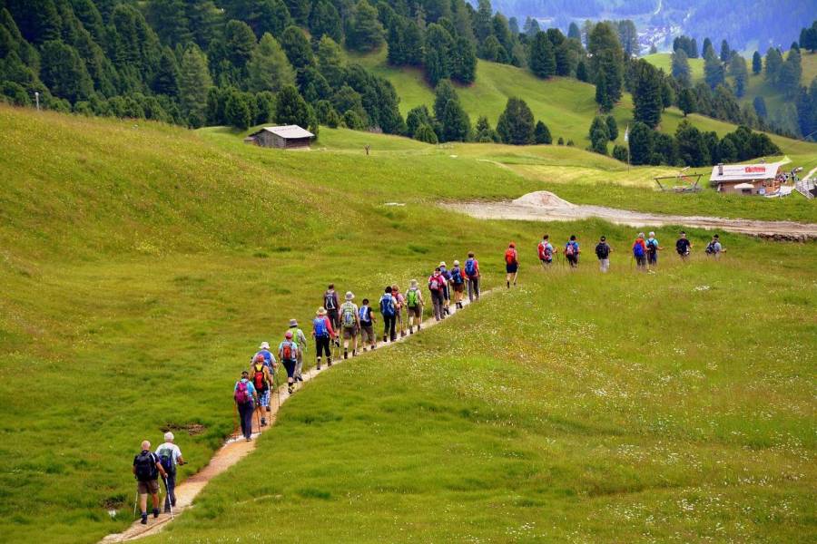 Jak dojechać do Schroniska Samotnia i cieszyć się górską atmosferą?